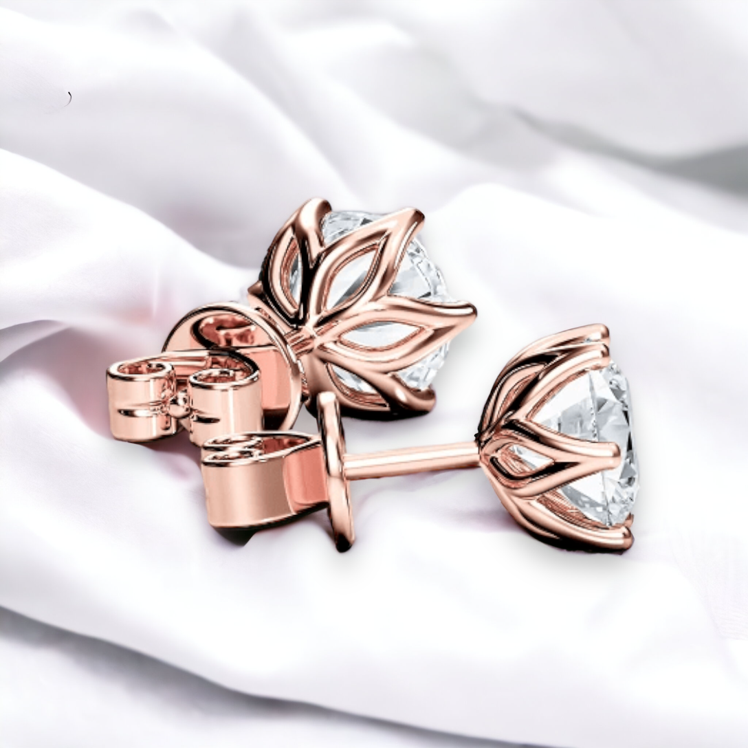 Rose Bloom